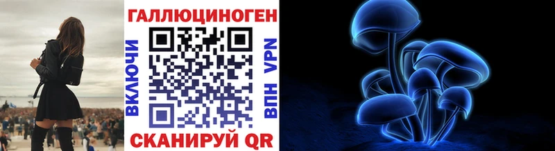 Псилоцибиновые грибы Cubensis  дарнет шоп  KRAKEN зеркало  Чернушка 