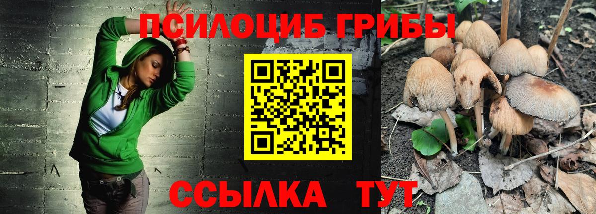 Псилоцибиновые грибы мухоморы  Чернушка  Галлюциногенные грибы MAGIC MUSHROOMS 