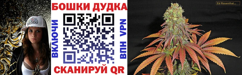МАРИХУАНА SATIVA & INDICA  купить наркотики цена  Чернушка 